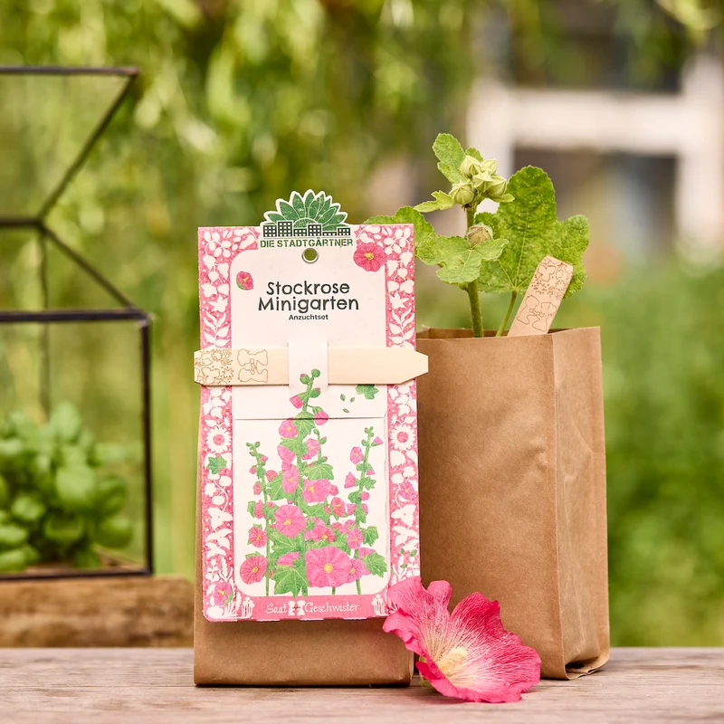 Anzuchtset – Minigarten Stockrose