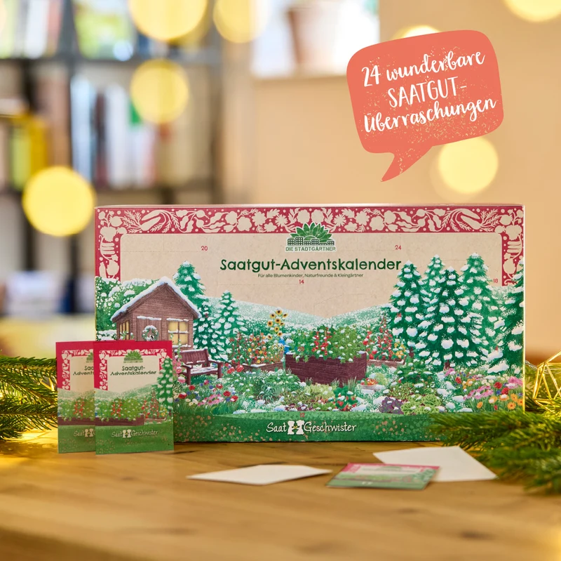 Saatgut-Adventskalender mit Türchen