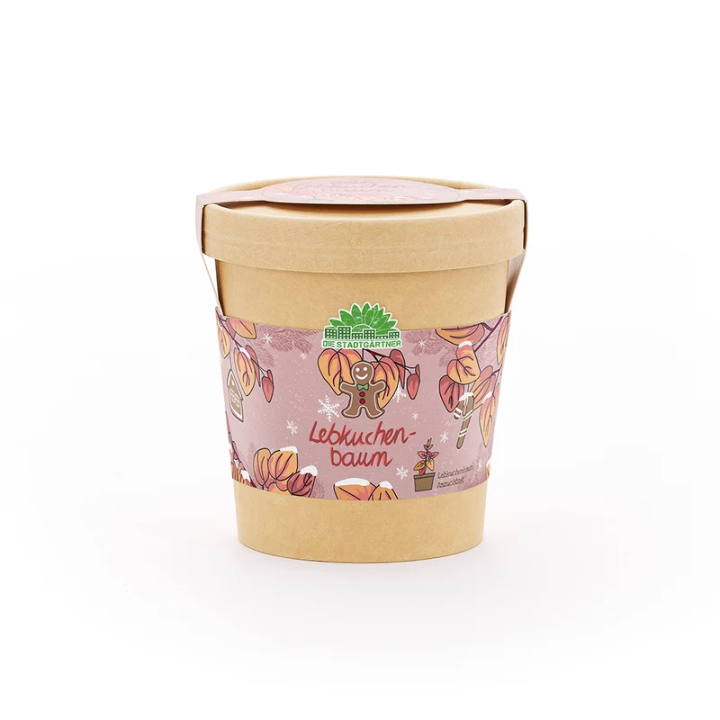 Lebkuchenbaum aus dem Becher