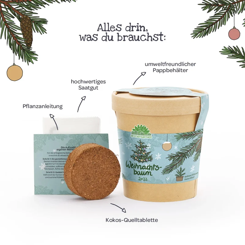 Weihnachtsbaum 2033 aus dem Becher