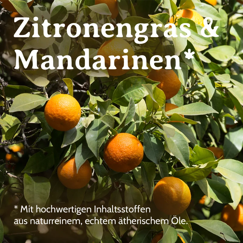 Raumspray Wäschespray Citrus Zauber 100ml Raumduft Spray Zitrusduft Zitrusfrische