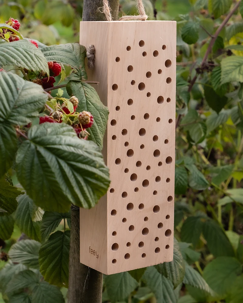 Insektenhotel 'Erbienbi'
