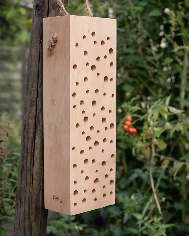 Insektenhotel 'Erbienbi'