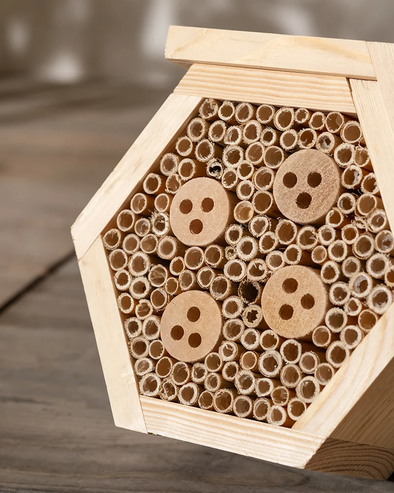 Insektenhotel 'Forsisens'
