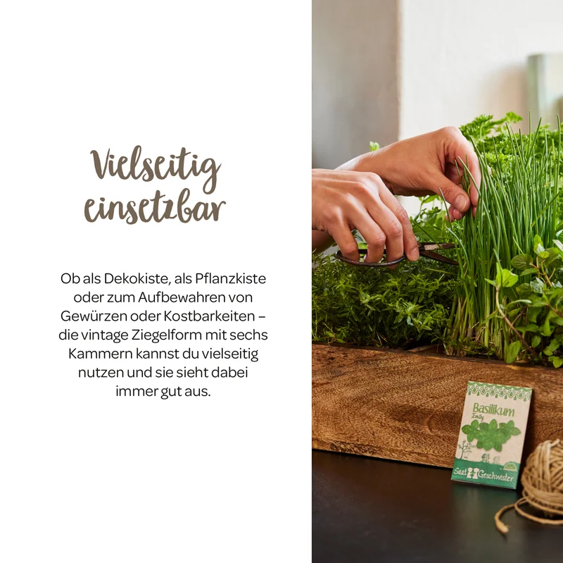 Ziegelform mit 6 Fächern