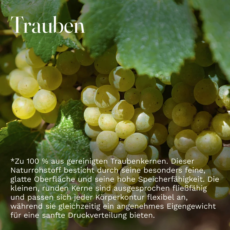 Traubenkern lose 1kg Füllmittel Füllung Kissenfüllung Wärmekisse Kältekissen