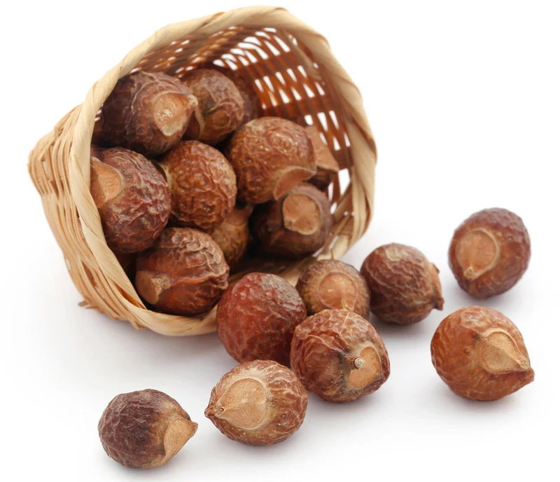Waschnuss Sapindus Mukorossi Allergiekergeeignet 100% biologisch natürlich Waschmittel 500g