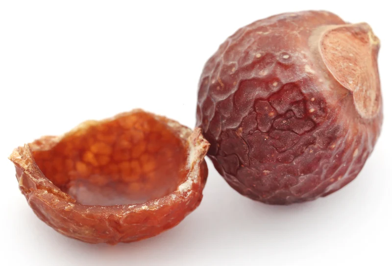 Waschnuss Sapindus Mukorossi Allergiekergeeignet 100% biologisch natürlich Waschmittel 250g