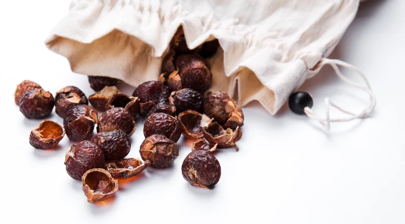 Waschnuss Sapindus Mukorossi Allergiekergeeignet 100% biologisch natürlich Waschmittel 250g
