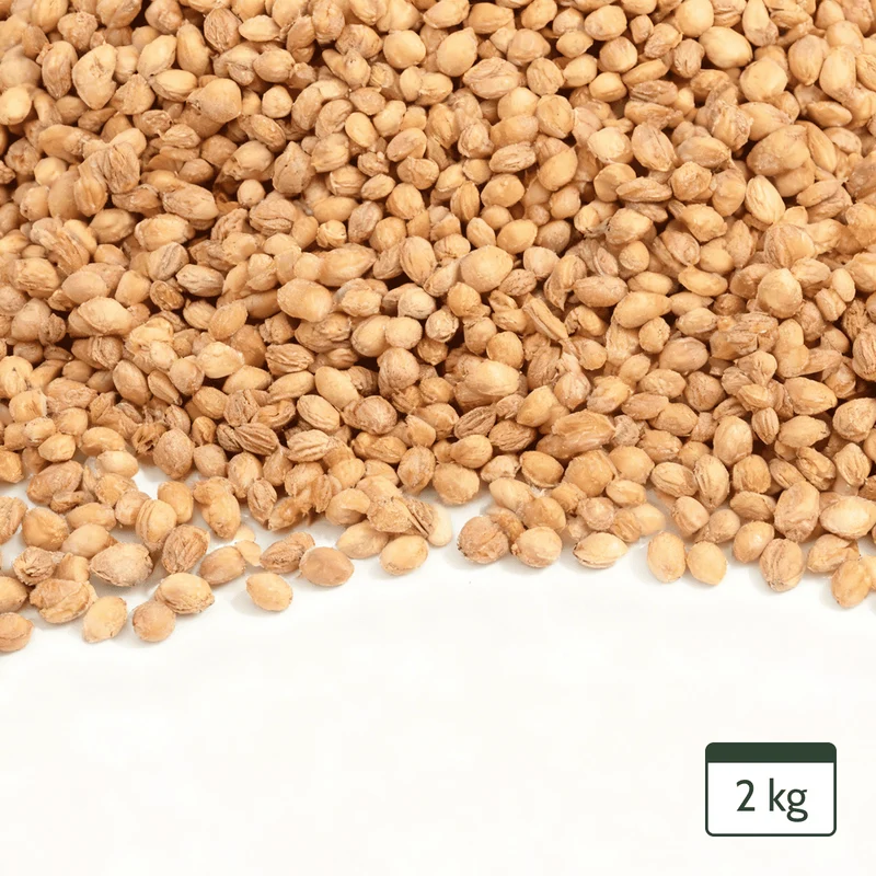 Kirschkerne Lose für Kirschkernkissen Wärmekissen Gereinigt Kirschsteine 2Kg