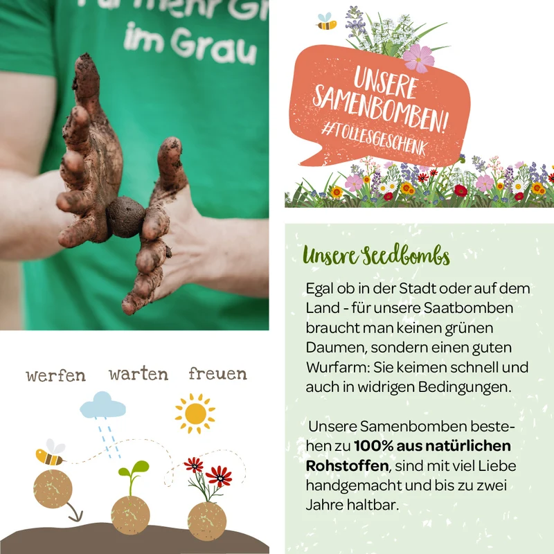 Samenbomben – Topfbälle
