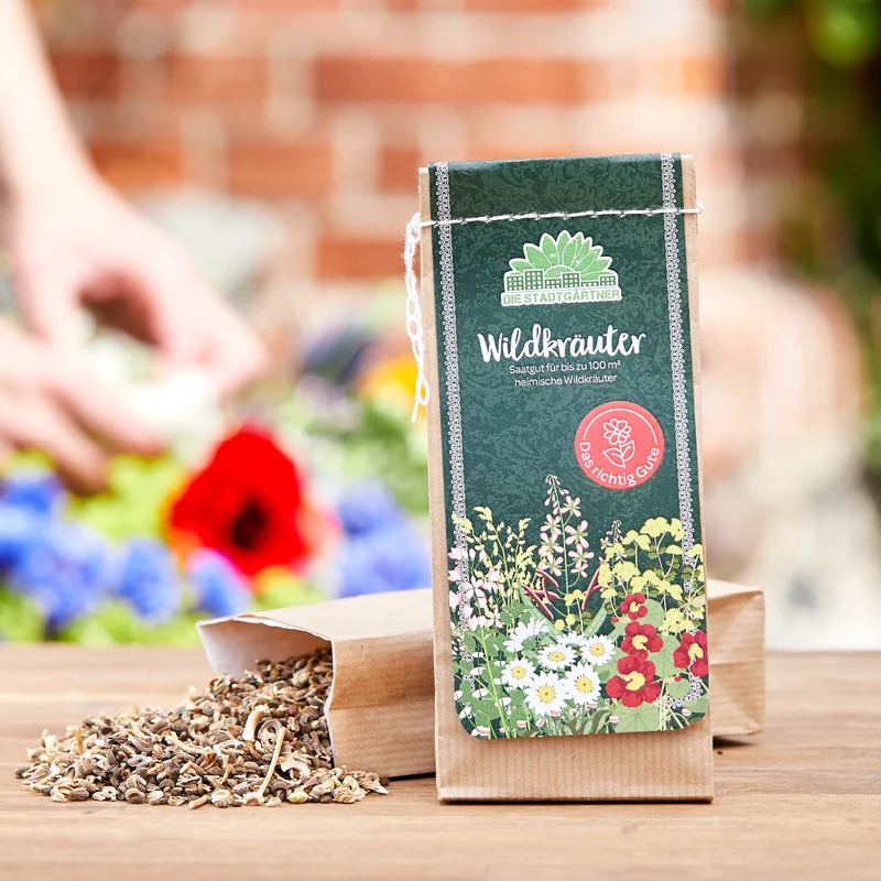 100 g Wildkräuter-Saatgut