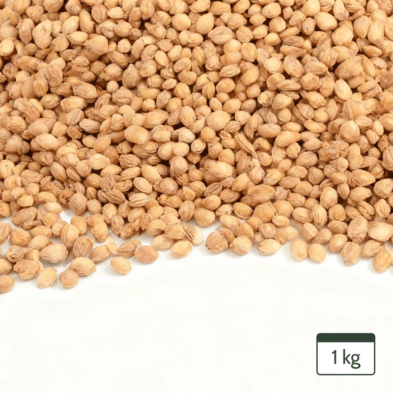 Kirschkerne Lose für Kirschkernkissen Wärmekissen Gereinigt Kirschsteine 1Kg