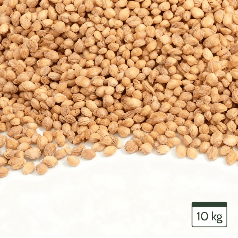 Kirschkerne Lose für Kirschkernkissen Wärmekissen Gereinigt Kirschsteine 10kg