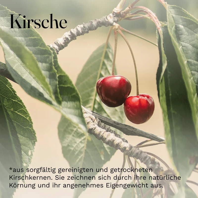 Kirschkerne Lose für Kirschkernkissen Wärmekissen Gereinigt Kirschsteine 10kg