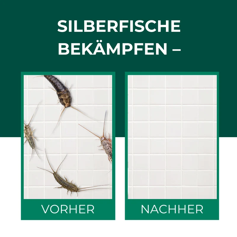 Silberfisch Köderdose: Silberfische & Papierfischchen bekämpfen in Bad, Küche & Keller