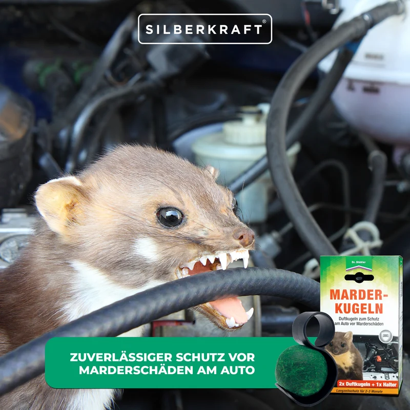 Effektiver Schutz vor Marderschäden: Marder-Duftkugeln für dein Auto