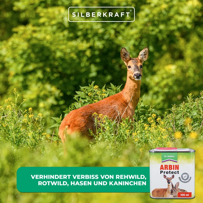 Arbin Protect - Schutz vor Wildverbiss für Bäume und Sträucher
