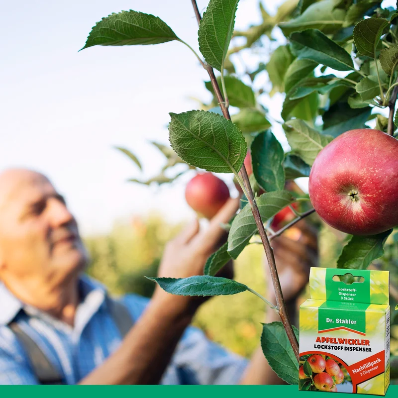 Apfelwickler Pheromon-Lockstoff Nachfüllpack: Effektiver Schutz für Obstbäume