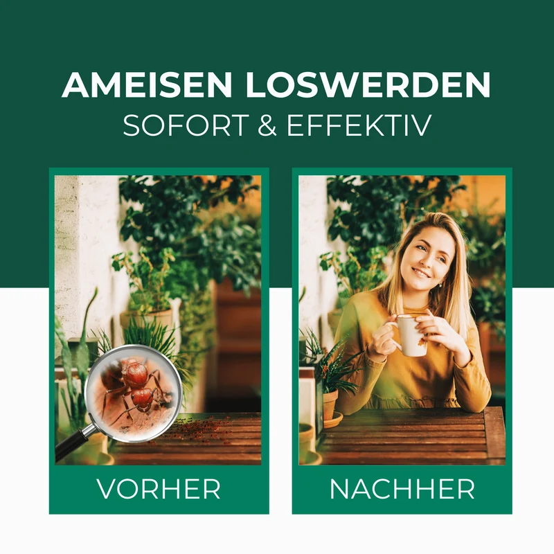 Ameisen-Ex Gel: Sofortige Lösung gegen Ameisenbefall im Innen- und Außenbereich