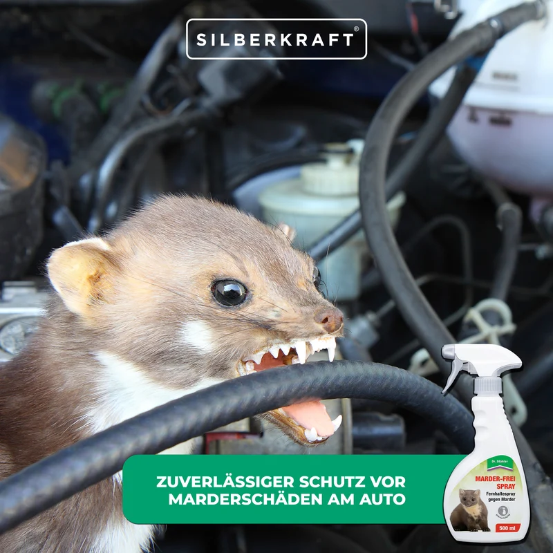 Marder-Frei Spray: Hochwirksamer Marderschutz für Haus und Auto
