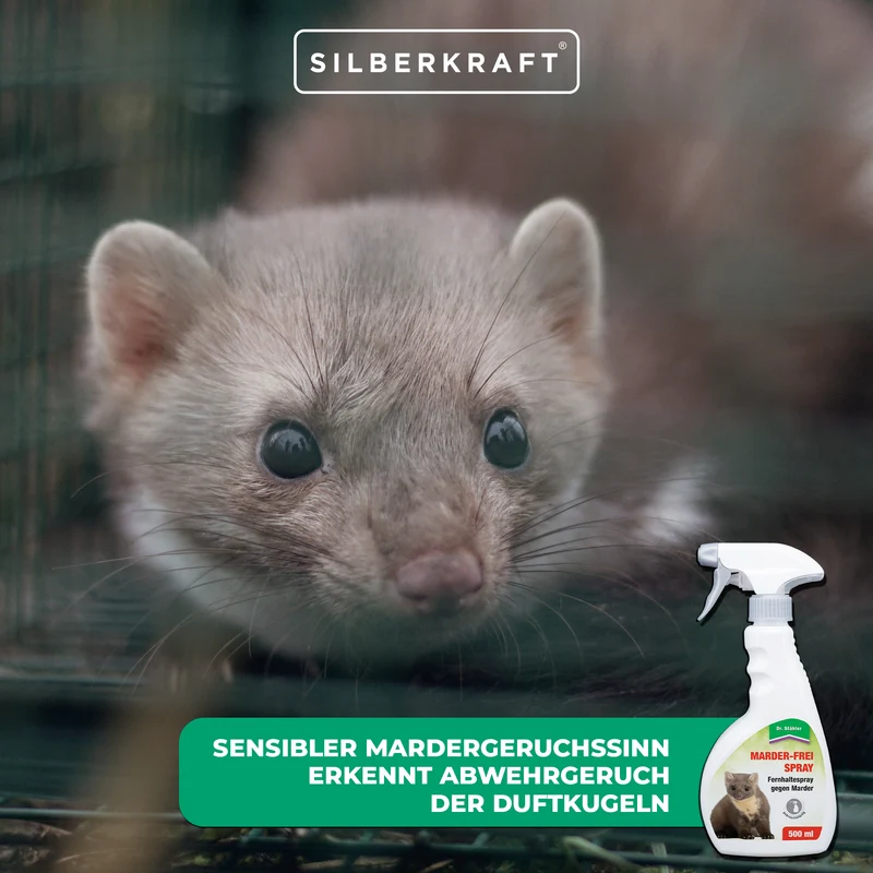Marder-Frei Spray: Hochwirksamer Marderschutz für Haus und Auto