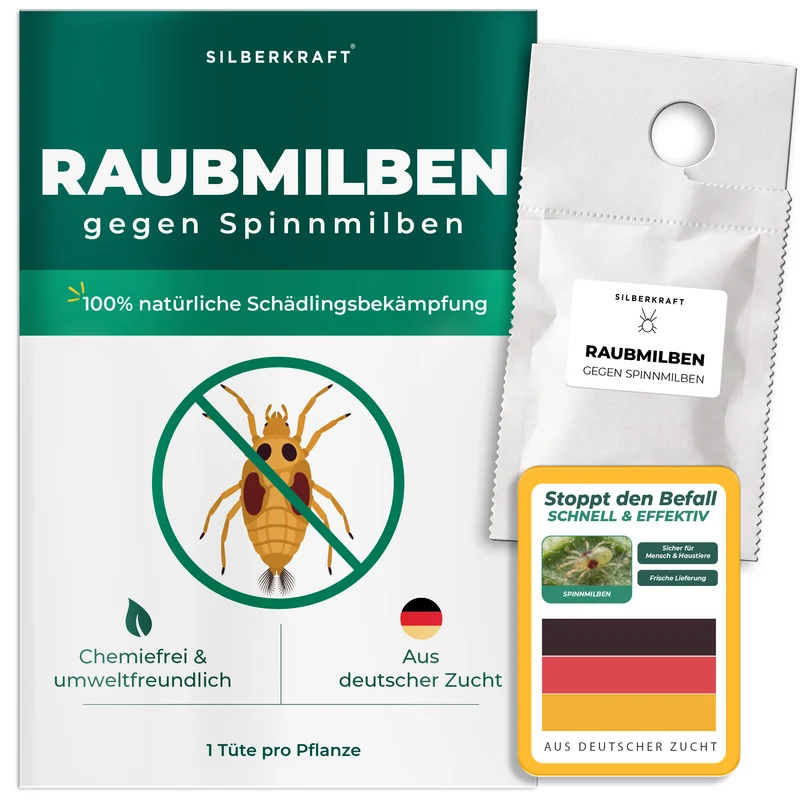 Raubmilben gegen Spinnmilben an Grünpflanzen (Amblyseius californicus)