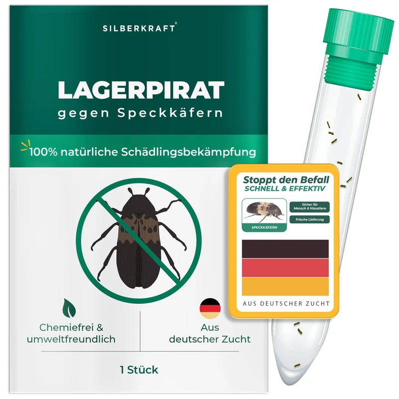 Lagerpirat zur Bekämpfung von Speckkäfern, Teppichkäfer & Vorratsschädlingen Lagerpiraten (Raubwanze Xylocoris Xylocoris flavipes)