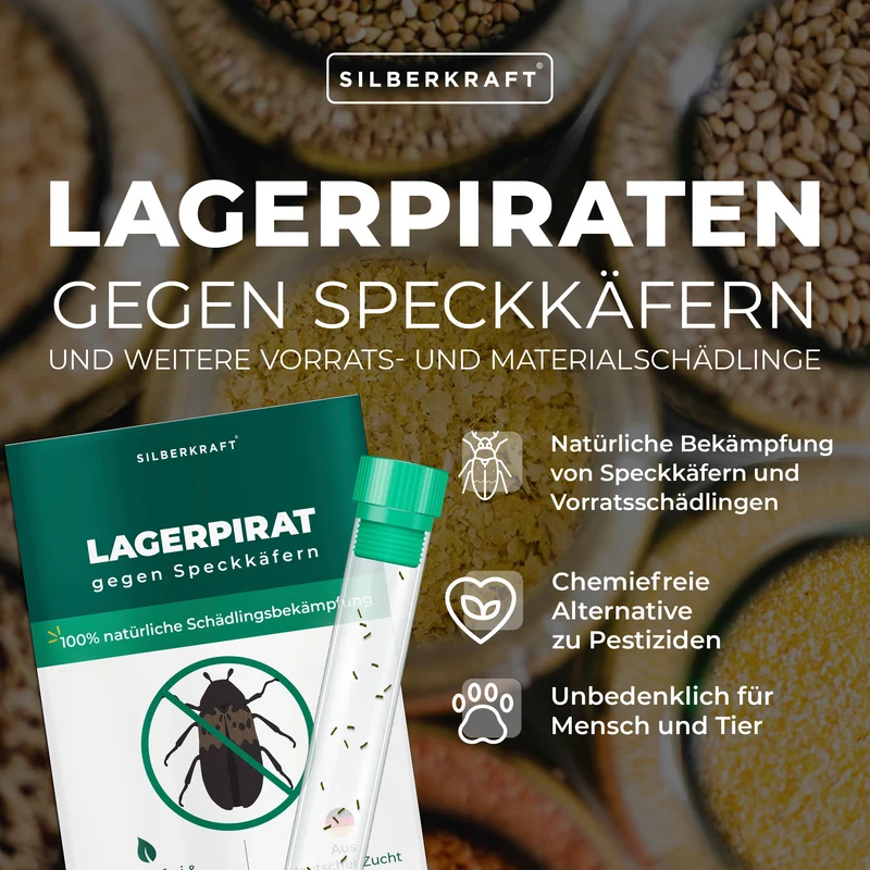 Lagerpirat zur Bekämpfung von Speckkäfern, Teppichkäfer & Vorratsschädlingen Lagerpiraten (Raubwanze Xylocoris Xylocoris flavipes)