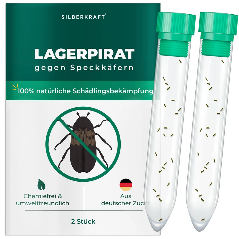 Lagerpirat zur Bekämpfung von Speckkäfern, Teppichkäfer & Vorratsschädlingen Lagerpiraten (Raubwanze Xylocoris Xylocoris flavipes)