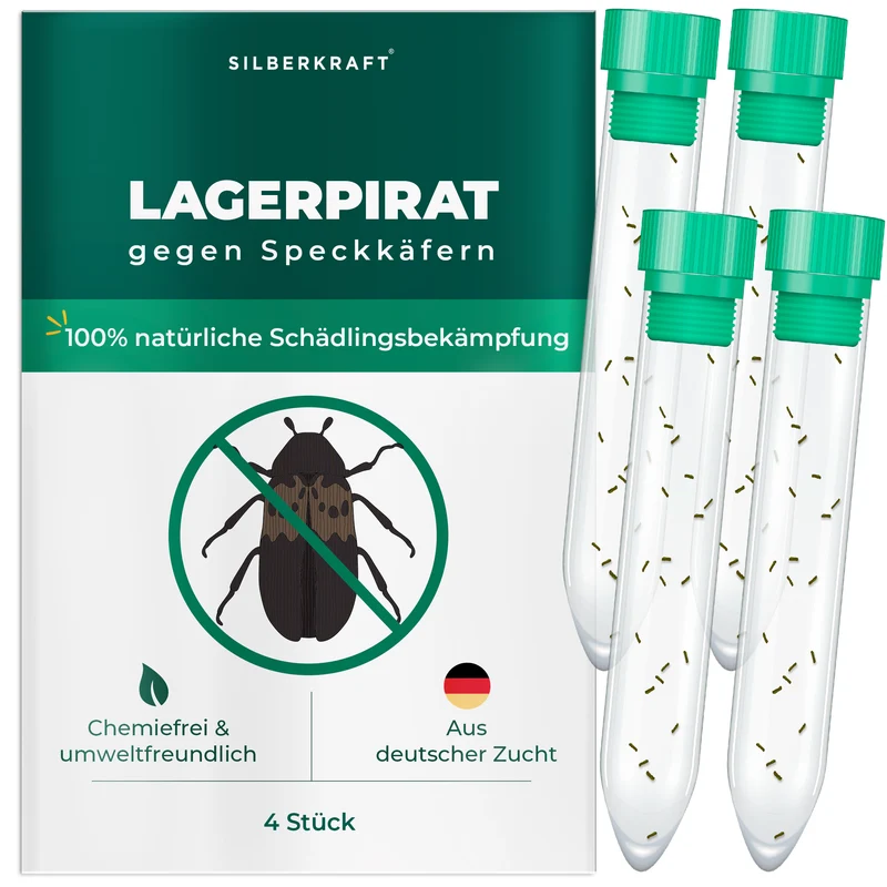 Lagerpirat zur Bekämpfung von Speckkäfern, Teppichkäfer & Vorratsschädlingen Lagerpiraten (Raubwanze Xylocoris Xylocoris flavipes)