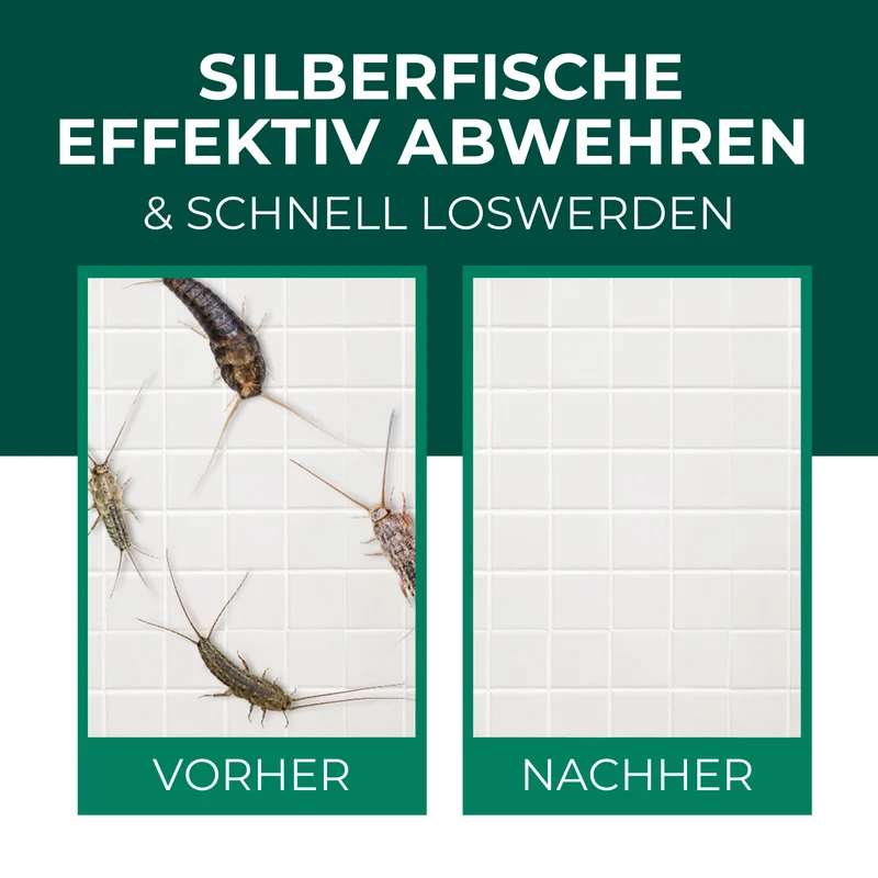 Silberfischfallen Silberfische & Papierfische bekämpfen 10 Stück