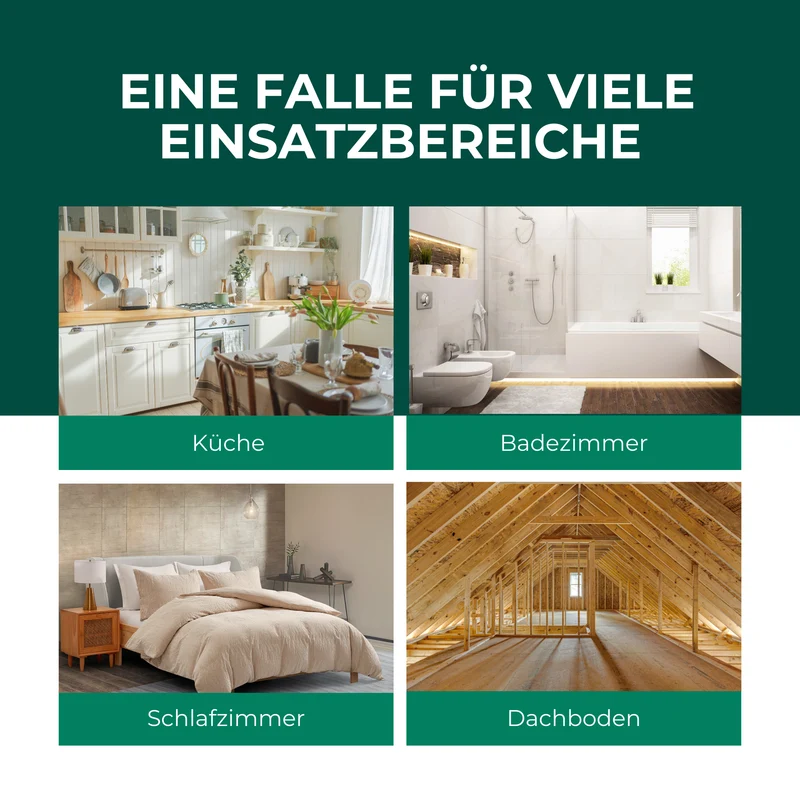 Silberfischfallen Silberfische & Papierfische bekämpfen 10 Stück