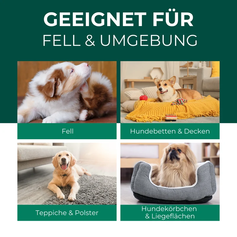 Milbenspray für Hunde