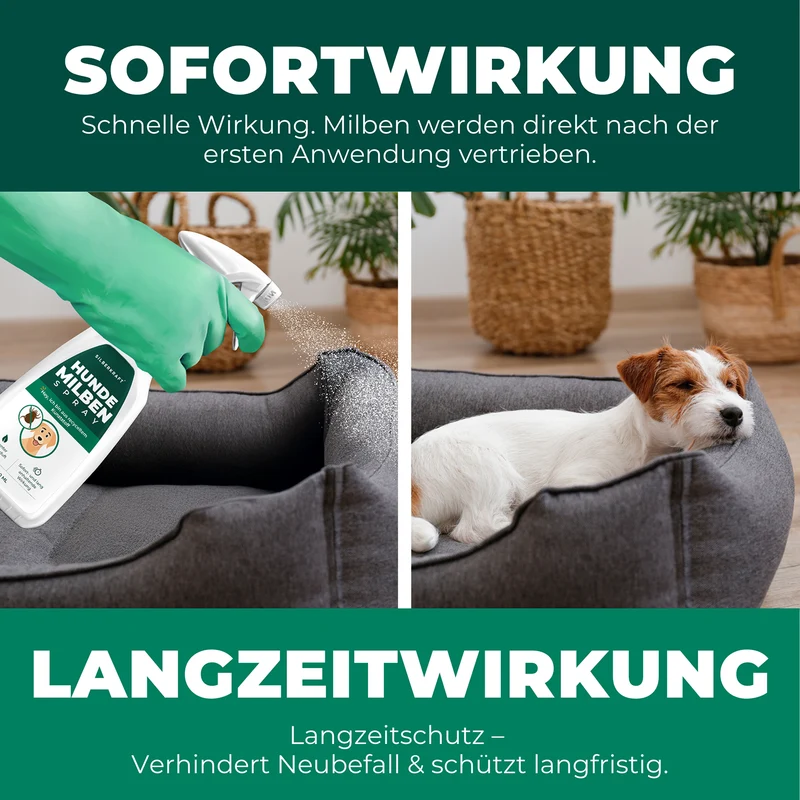 Milbenspray für Hunde