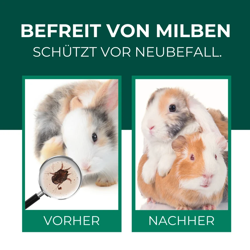 Milbenspray Hase/Kaninchen
