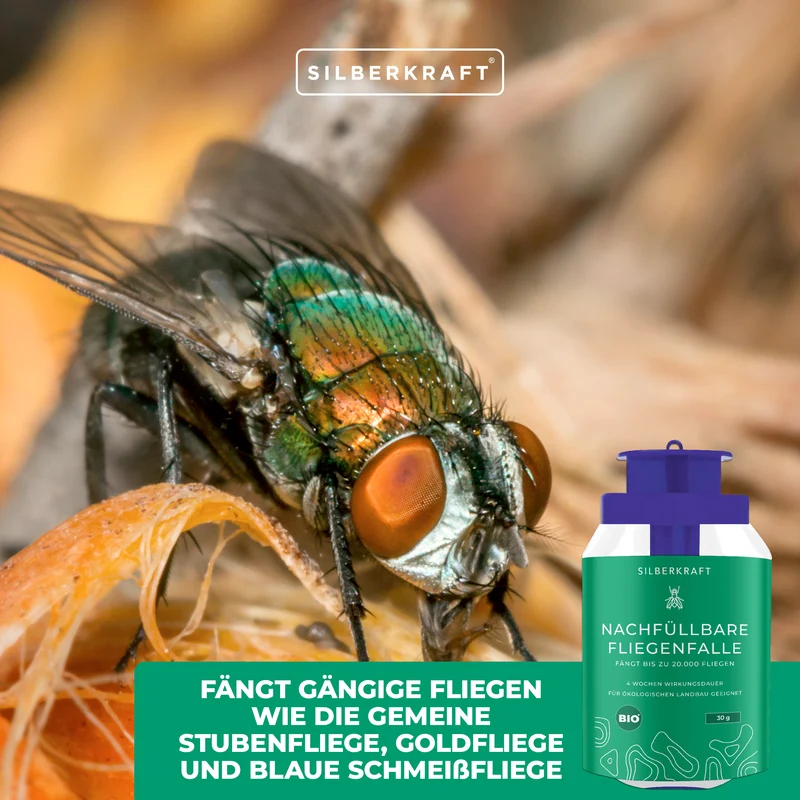 Nachfüllbare Fliegenfalle