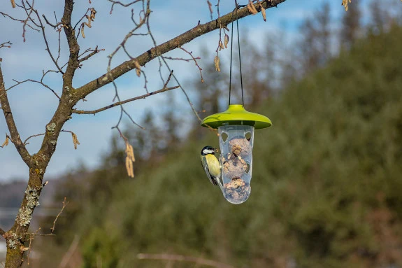 Vogelfutterspender - Multifunktionale Futterstation für die Vogelfütterung - 22 cm