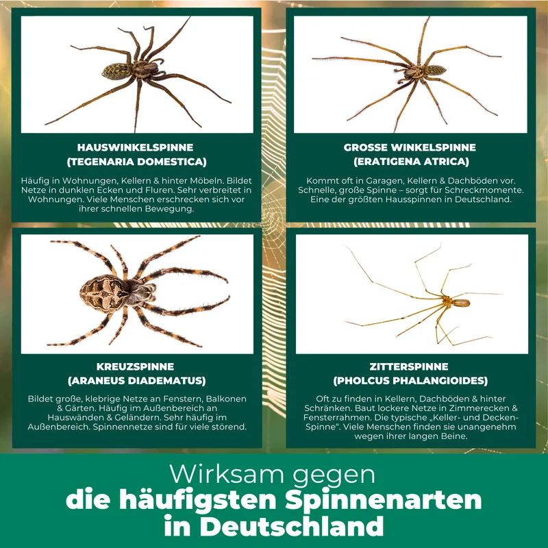 Spinnenspray - Anti Spinnen Mittel