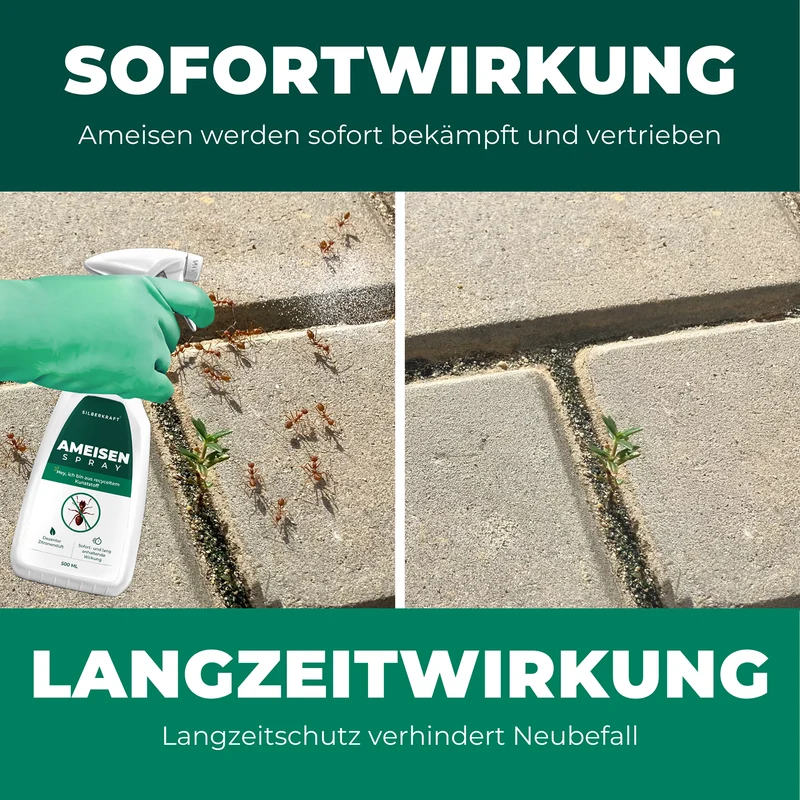 Anti Ameisen Spray