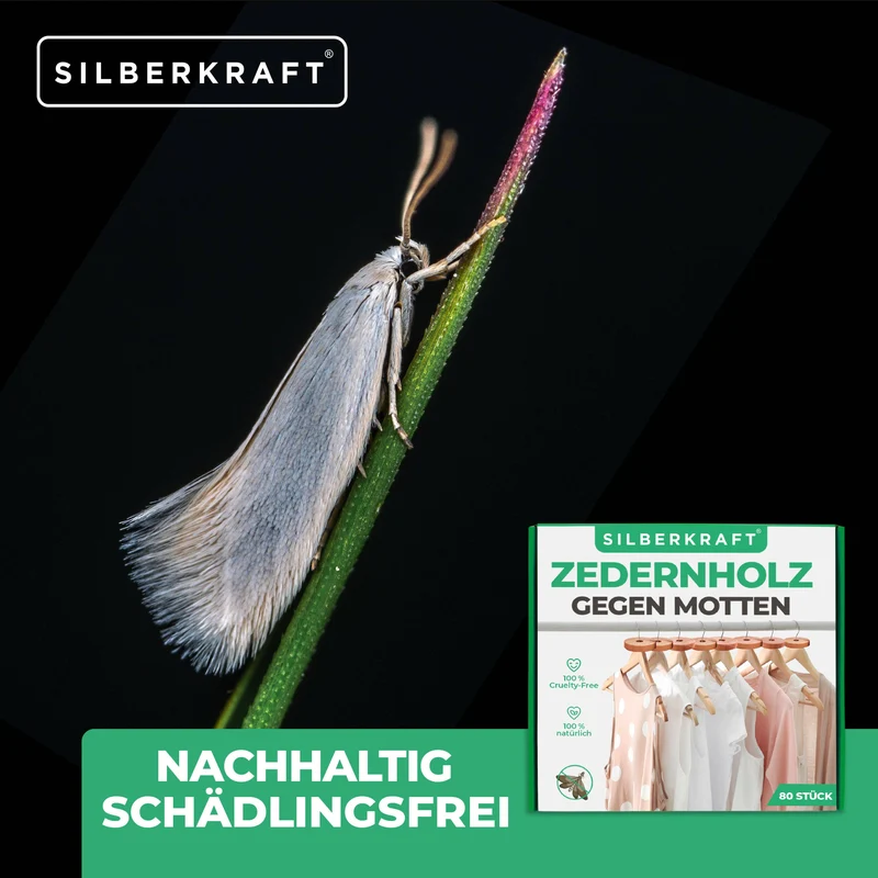 Zedernholz Mottenschutz