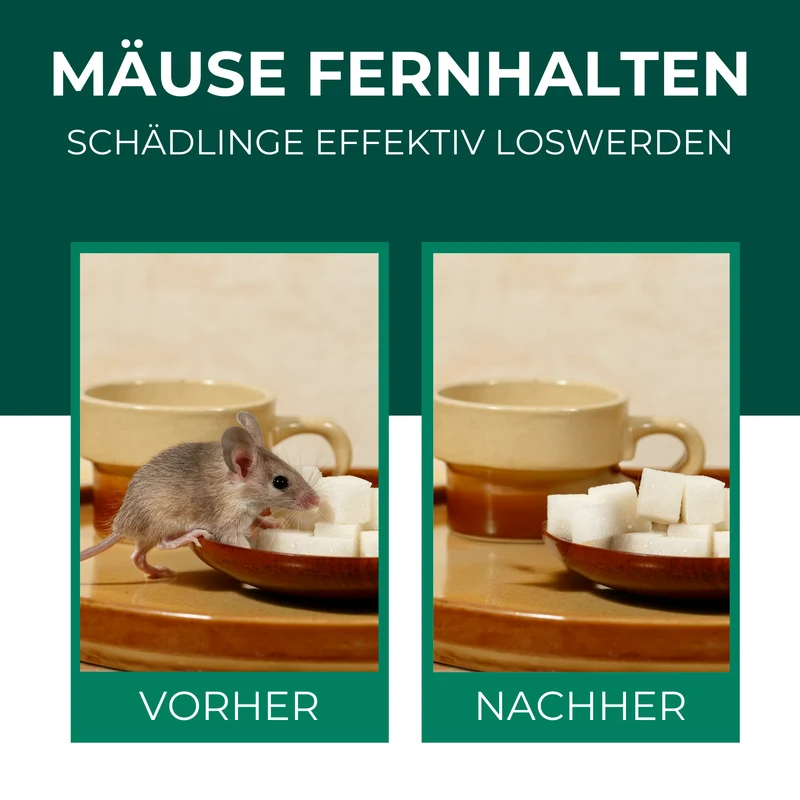 Mäuse-Abwehr-Spray