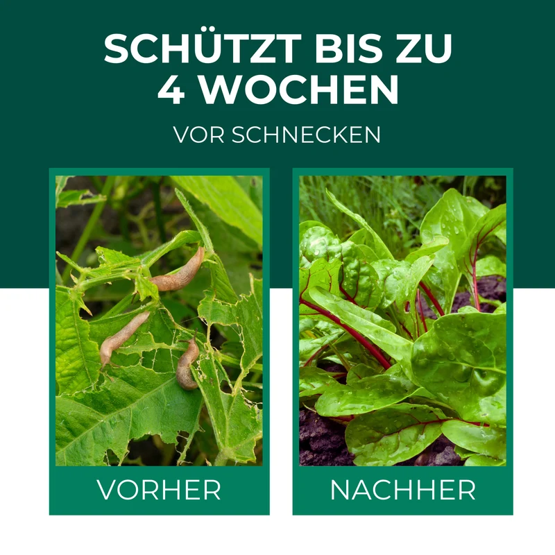 Schneckengranulat - Schneckenkorn gegen Schnecken