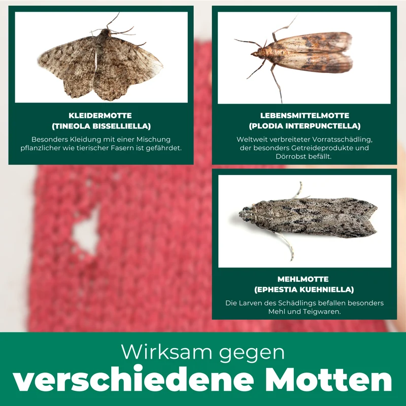Mottenspray gegen Kleider- & Lebensmittelmotten
