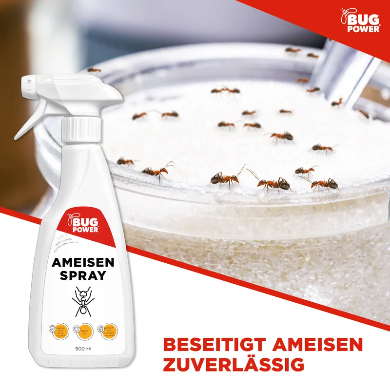 BugPower Ameisen Spray - effektiv gegen Ameisen