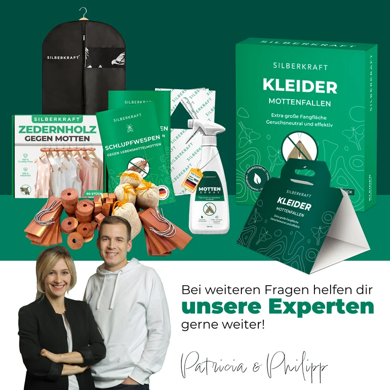 Mottenfalle 6 Stück
