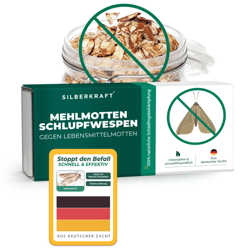Mehlmottenschlupfwespen gegen Mehlmotten & Lebensmittelmotten Brackwespe Habrobracon hebetor - Schlupfwespen 40 Stück