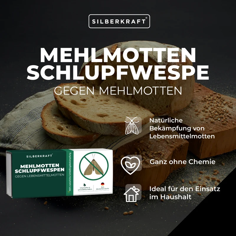 Mehlmottenschlupfwespen gegen Mehlmotten & Lebensmittelmotten Brackwespe Habrobracon hebetor - Schlupfwespen 40 Stück