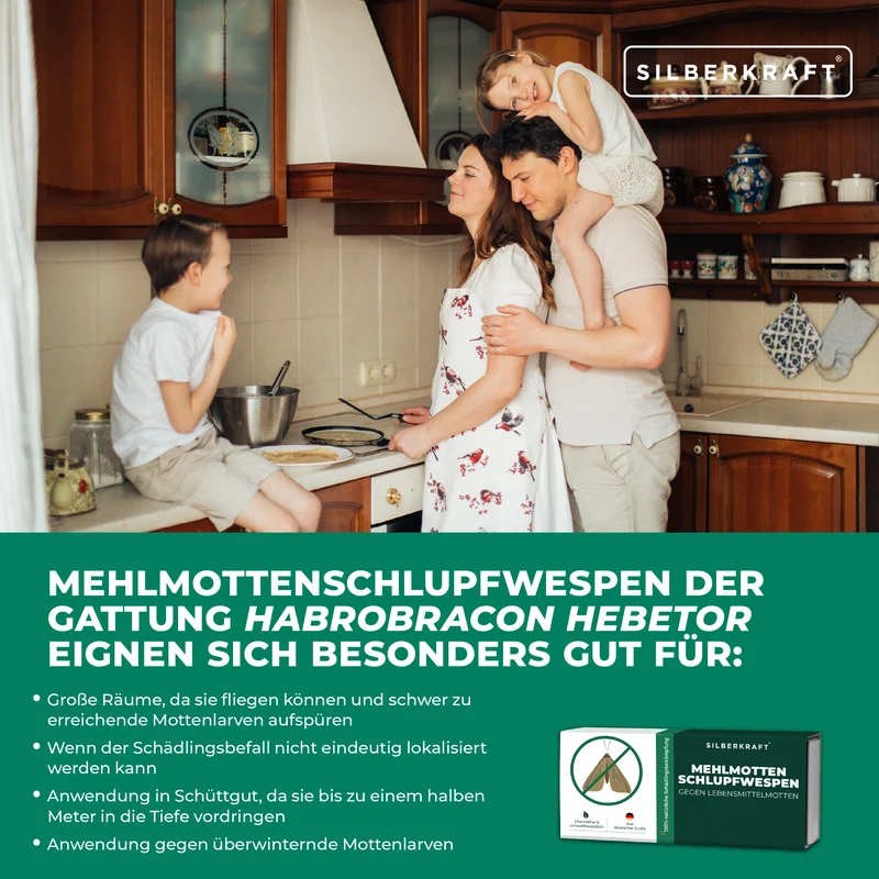 Mehlmottenschlupfwespen gegen Mehlmotten & Lebensmittelmotten Brackwespe Habrobracon hebetor - Schlupfwespen 40 Stück