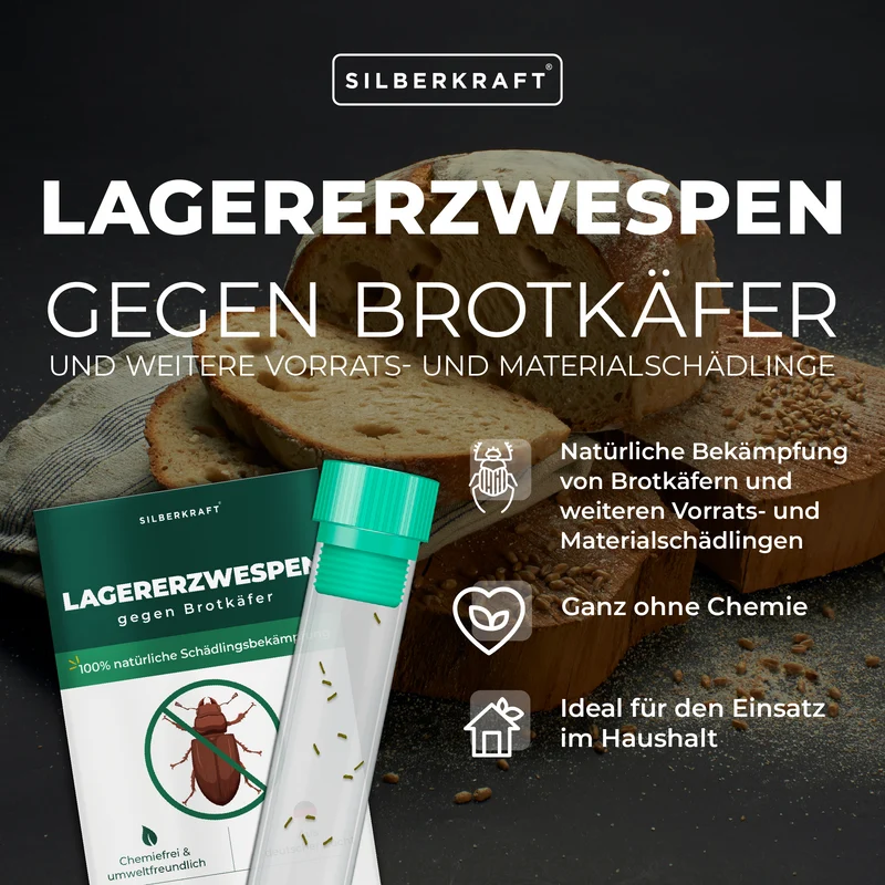 Lagererzwespen gegen Brotkäfer, Tabakkäfer, Kugelkäfer, Messingkäfer (Lariophagus distinguendes, Anisopteromalus calandrae)